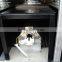 Tianyi Uv Curing System