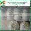 2016 Fresh and Dry Garlic - Chinese Garlic Exporters