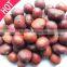 Frozen Roasted Chestnuts in Shell for sale