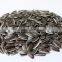 Delicious sunflower seeds for snack food and without additive and healthy snack food