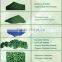 Organic Spirulina Tablet for Health Supplement
