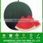 W15 Heimi no.5 mid-maturity dark green hybrid seedless watermelon seeds