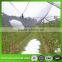 Yemen used plastic bee net/anti hail net for crops,Weave 13 mesh,plastic plate anti mesh net against hail for tree