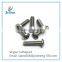 China Hot Sale Torx Socket Head Cap Screw with washer