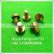 China fastener manufacturer male and female brass screw