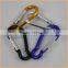 Fashion High Quality custom made keychain carabiner