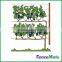 Hot sale Vineyard Trellis