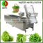 Factory produce and sell industrial vegetable and fruit washing equipment