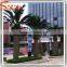 EXPORT TRADE HAUTE COUTURE WIND - RESISTANT UV-RESISTANT PALM TREES