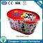Popular decorative christmas ornaments mailbox shaped gifts tin box