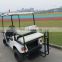 4 Seaters 4WD Electric Hunting Golf Cart with independentd suspension system and 4KW DC Motor| AX-C2+2 4X4