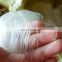 China manufacturer high strength nylon bird netting for orchard vineyard