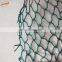 Green anti mole netting protect the grapes from birds