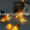 New Designed Popular Starfish/Conch/Seashell Shaped LED String Light
