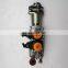 P11C Fuel injection pump 22100-E0361 094000-0530 22730-1231S2273-01231