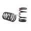 Customized Compression Extension Torsion Adjustable Oem Shock Absorber Spring For Machines