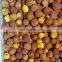 High Quality IQF Winter Jujube