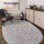 Mixed Colours Polypropylene Braided Rug Home Carpet Oval Shape