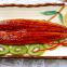 Frozen Roasted Eel-Unagi Kabayaki with excellent quality and competitive price