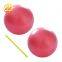 Sports Direct  Mini Pilates Exercise Yoga Balls for Fitness Gym