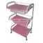 Beiqi Wholesale Salon Hairdresser Barber Hair Beauty Storage Salon Trolley Drawers Colouring Spa Cart