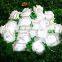 Fullbell 2015 pupular star string lights