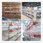 Automatic poultry broiler feeding system for farming