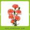 Fashion good smell preserved carnation for wedding decoration