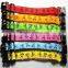 elastic cheap nylon webbing dog collars