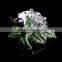 cute crystal glass ladybird for souvenir