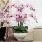 Cheap hot sale white silk flower orchid phalaenopsis
