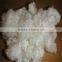 PLA Staple Fiber Hot Sale 2016
