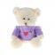 Purple T shirt valentine day teddy bear
