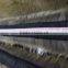 Wholesale natural Raccoon Fur Collar Coat Detachable /Scarf 80cm*17cm