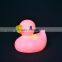 Electronic duck lamp automatic color changed night light LED light