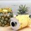 Fruit Slicer High Quality Easy to Use Stainless Steel And Plastic Pineapple Slicer Quality Choice