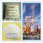 Sodium carboxymethyl starch CMS for drilling mud