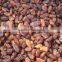 Supply Varies Dried Raisins,Sultana/Golden/Green Raisins
