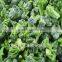 IQF Frozen mixed vegetables(3t types)