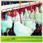 Leon Water Evenly Poultry Drinking System