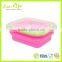 100% Pure Silicone color frame Foldable Lunch Box 600ML, Food Fruit Collapsible Container For Microwave Oven