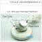 Accept Paypal Handheld Beauty Facial Care Microcurrent Face Lift Machine