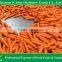 Natural organic fresh red sweet baby carrot price from south of China