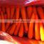 Bright Red Carrot With Good Delicious
