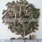 Hot Sale 5009 Big Size Sunflower Seeds