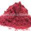RED CHILI POWDER SUPPLIER