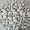 100% BLACK, RED KIDNEY BEANS FOR SALE AT CHEAP PRICES