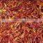 Safflower