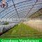 Strong structure Galvanized polytunnel greenhouse