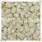 Pure Watermelon Seed Kernels